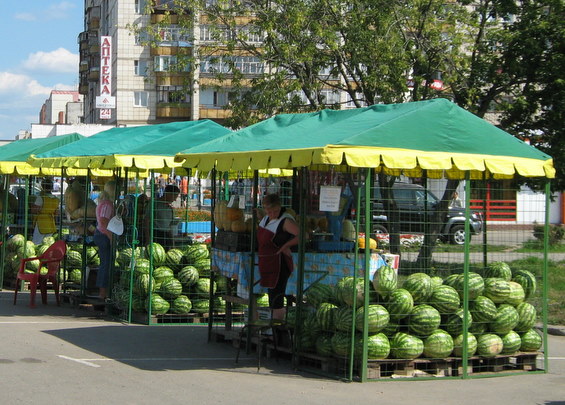 Сегашните дини нямат вкуса на любениците, нали Снимка: Wikimedia, CC