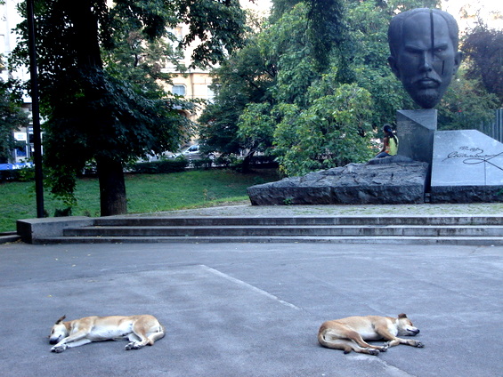 Къде е 'Кристал'? Снимка: Wikimedia, CC