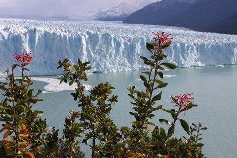 Perito_Moreno_Patagonia_Argentina_-_3